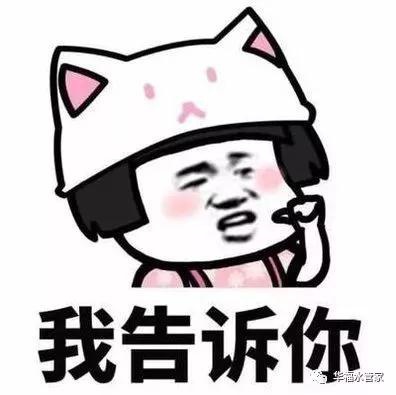 1550196480658044.jpg t5.jpg